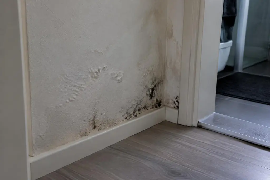 Lekdetectie Vianen – vochtplek met schimmel op een muur